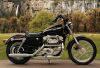 2003 Harley-Davidson Sportster 883