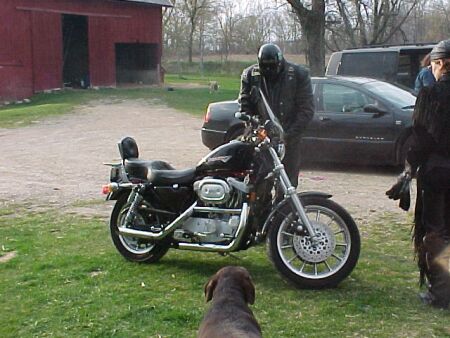 Leo's Harley Sportster 883